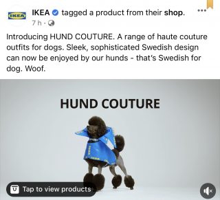 IKEA Hund Couture